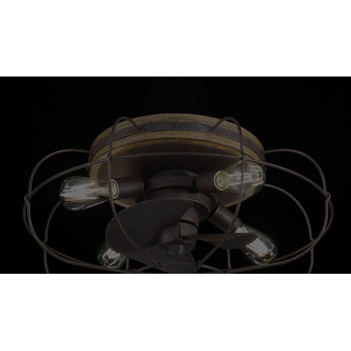 Trent Austin Design® 22" Evaro 3 Blade Caged Ceiling Fan with Light